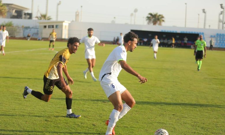 دوري المحترفين