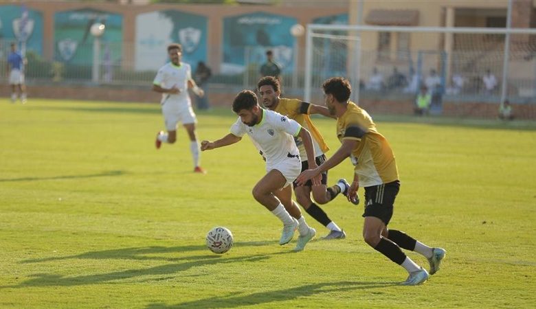 دوري المحترفين